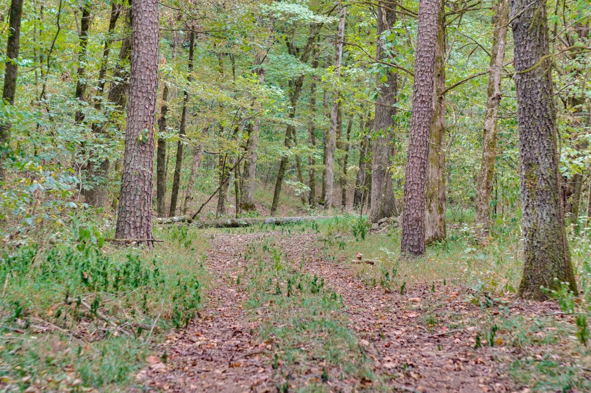 Ozark Mountain Cabin Rental On 300-Acre Ranch Zewnętrze zdjęcie
